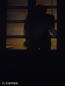 Poster for Intro video video from Leonsreal