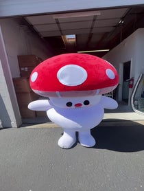 Poster for Other video from Marshall the Mushroom