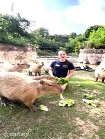 Poster for Intro video video from Capybaras At Houston Zoo