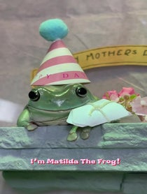 Poster for Mother's Day video from The Frogs & Tay