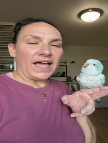 Poster for Mother's Day video from The Green Bird Brigade