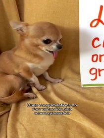 Poster for Graduation video from Finonka