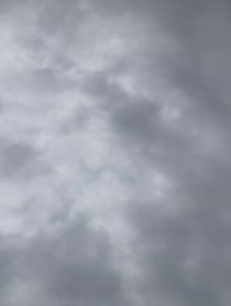 Poster for Other video from Tasteless