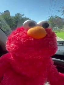 Poster for Birthday video from Elmo's Karaoke Booth