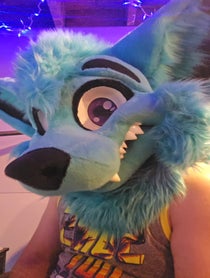Poster for Birthday video from Brightwater Wolf
