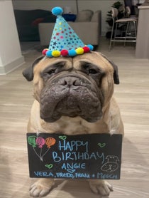 Poster for Birthday video from Big Meech