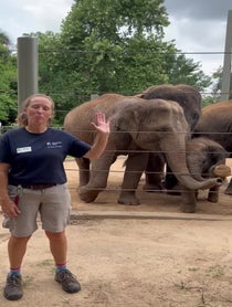 Poster for Birthday video from Elephants at Houston Zoo