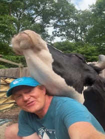 Poster for Birthday video from Ryan and Jenna The Calf Who Lived