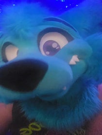 Poster for Birthday video from Brightwater Wolf