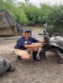 Poster for Father's Day video from Galàpagos Tortoise at Houston Zoo