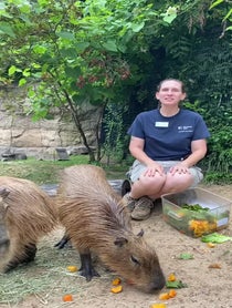 Poster for Father's Day video from Capybaras At Houston Zoo