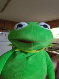 Poster for Other video from Kermit