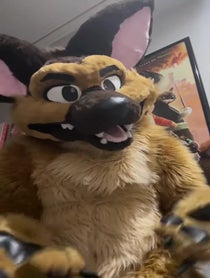 Poster for Other video from Charlie B. Barkin