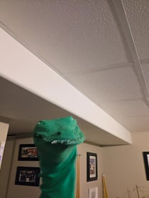 Poster for Pep Talk video from Croc Daddy