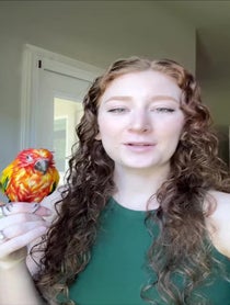 Poster for Pep Talk video from Plutobirdie
