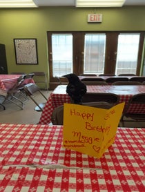 Poster for Birthday video from Harriet the American Crow
