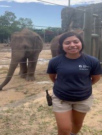 Poster for Birthday video from Elephants at Houston Zoo