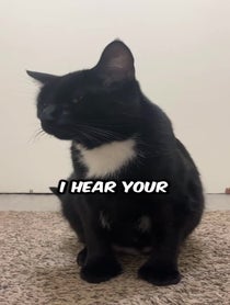 Poster for Give Thanks video from chillcatguy