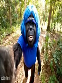 Poster for Intro video video from BigFoot Keisha