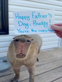 Poster for Father's Day video from Pumpkin The Capybara & Trixie The Crow