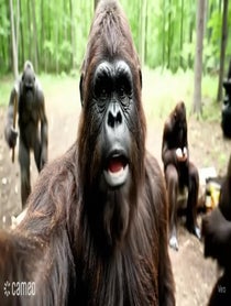 Poster for Intro video video from Arthur Bigfoote