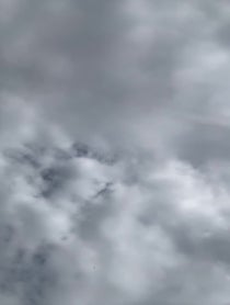 Poster for Other video from Andrew Francis