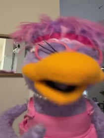 Poster for Other video from Bird Call