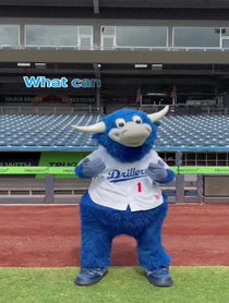 Poster for Advice video from Hornsby