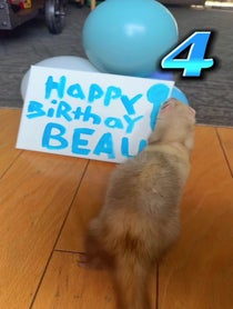 Poster for Birthday video from Tuna Lynn