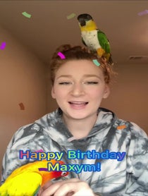 Poster for Birthday video from Plutobirdie