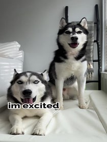 Poster for Birthday video from The Husky Moon
