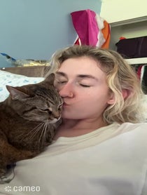 Poster for Intro video video from Sydney howdyhowdyyall1