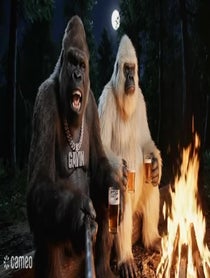 Poster for Intro video video from Gavin Gorilla
