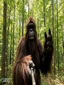 Poster for Intro video video from Sasquatch