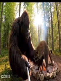 Poster for Intro video video from Yeti Jr