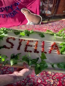 Poster for Birthday video from Antonio