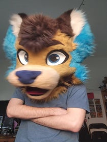 Poster for Birthday video from Rex The Third