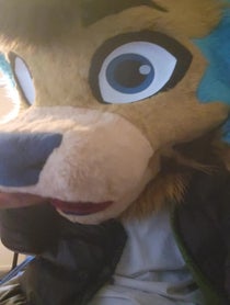 Poster for Other video from Rex The Third