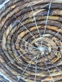 Poster for Birthday video from Anneliese van der Pol