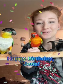 Poster for Birthday video from Plutobirdie