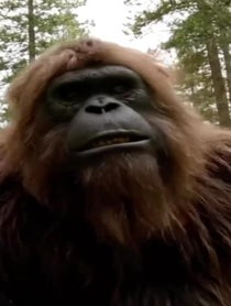 Poster for Other video from Sasquatch