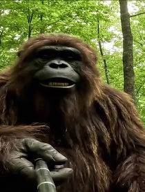 Poster for Other video from Sasquatch