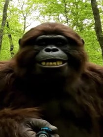 Poster for Birthday video from Sasquatch