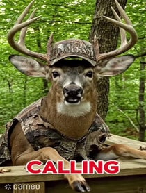 Poster for Intro video video from Bucknasty