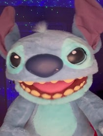 Poster for Other video from Stitch