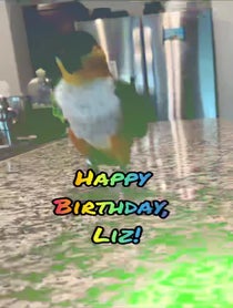 Poster for Birthday video from Plutobirdie