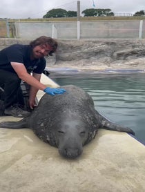 Poster for Birthday video from The Cornish Seal Sanctuary