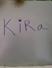 Poster for Pep Talk video from Winky