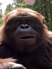 Poster for Birthday video from Sasquatch