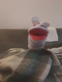 Poster for Other video from The Cranky Bunny